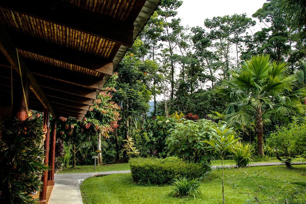 Catarata Eco Lodge La Fortuna Zewnętrze zdjęcie