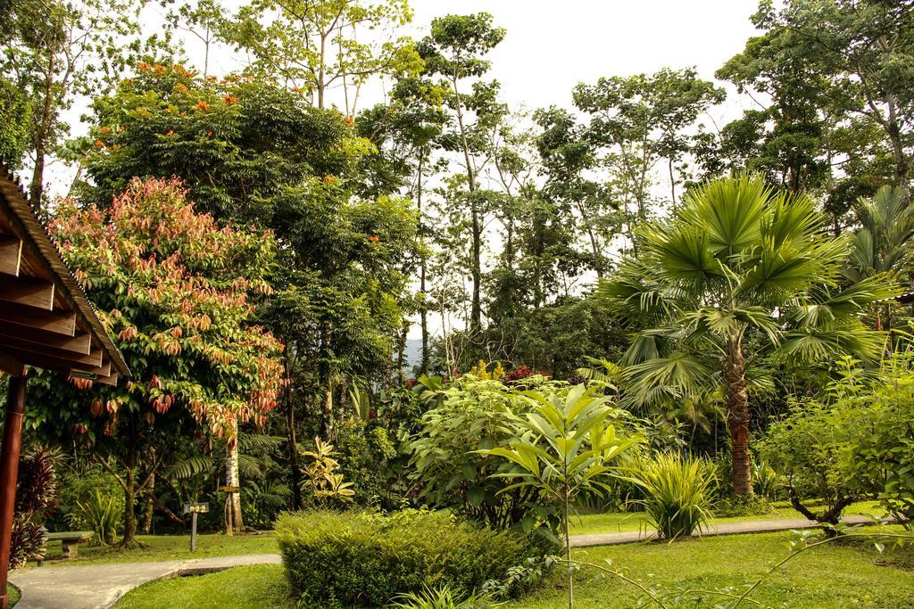 Catarata Eco Lodge La Fortuna Zewnętrze zdjęcie