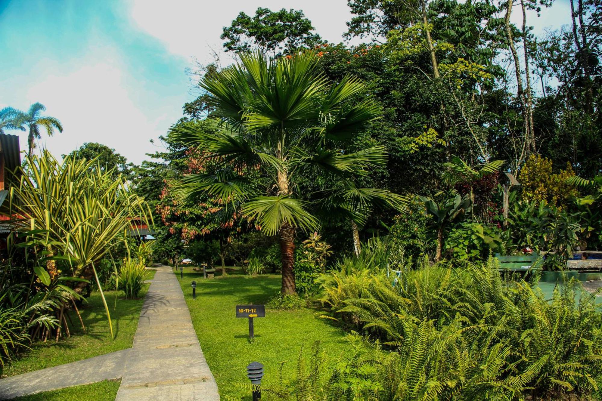Catarata Eco Lodge La Fortuna Pokój zdjęcie
