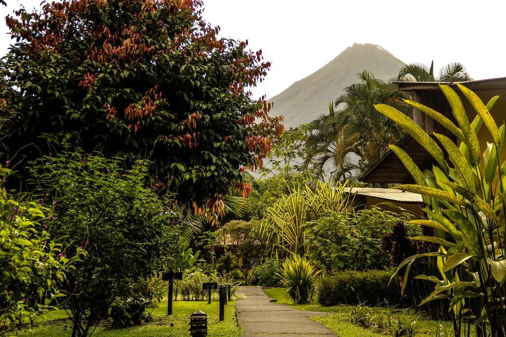 Catarata Eco Lodge La Fortuna Zewnętrze zdjęcie