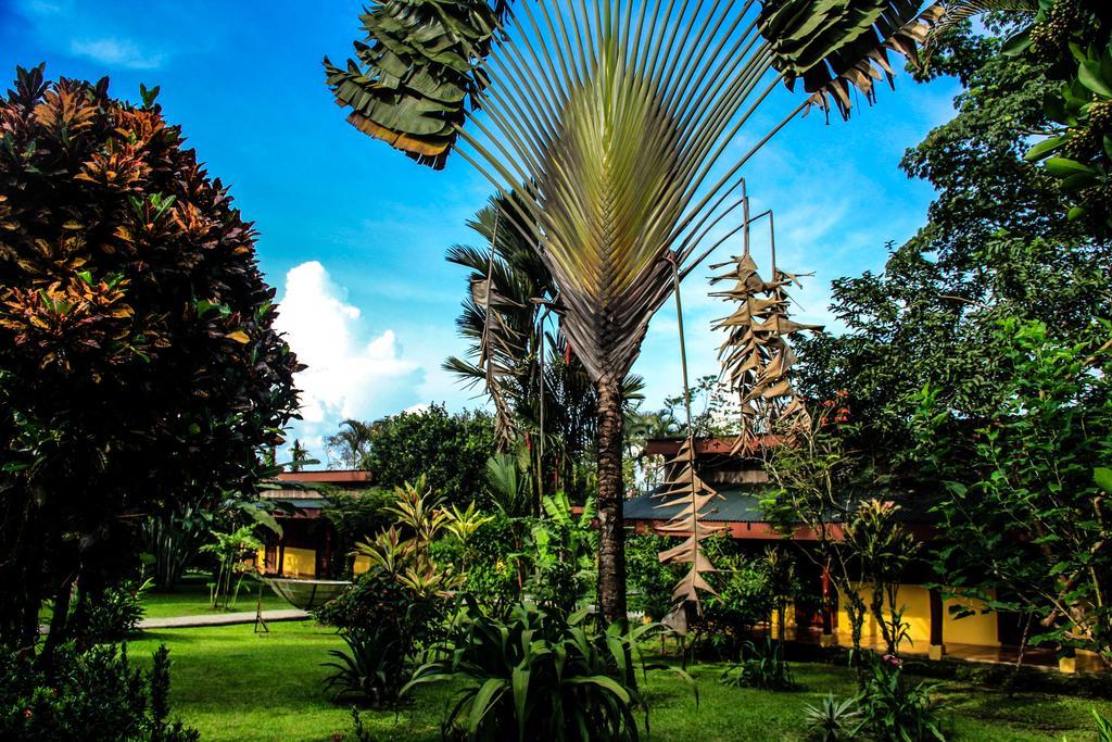 Catarata Eco Lodge La Fortuna Zewnętrze zdjęcie